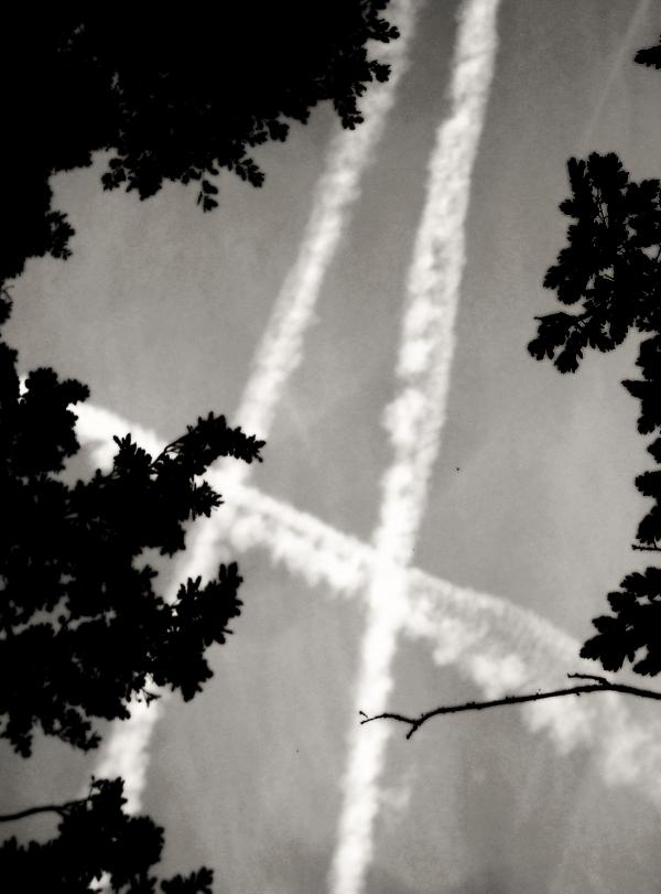 Anarchy in the sky