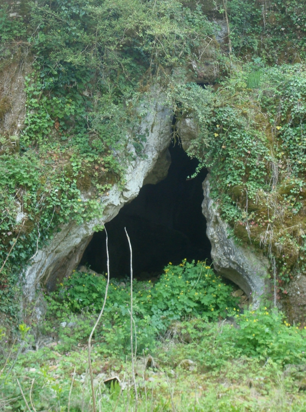 Vulva cave
