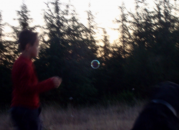 Courir après les bulles