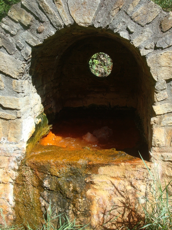 Source de la colline - Ardes sur Couze - Puy de Dôme