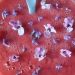 Mousse de fraises aux fleurs de mélitées et de bugle rampant