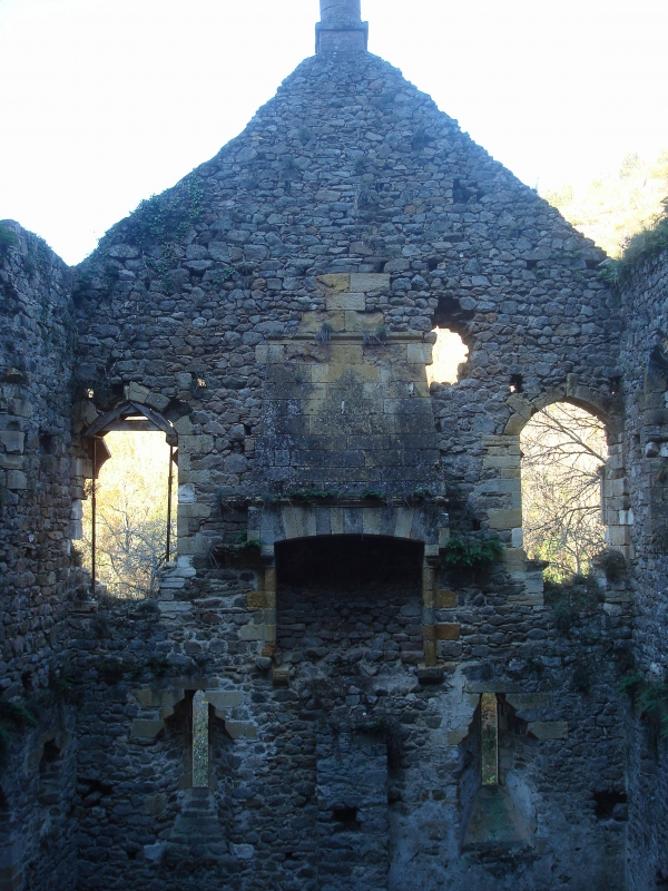 Peyrusse le Roc - Les ruines de l'Hôpital médiéval dit des Anglais