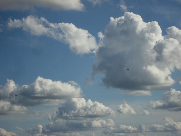 Ciel de nuages et d'hirondelles