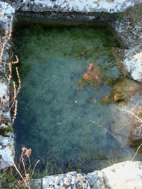 Ancienne fontaine près du Lac de Salamor entre Escamps et Concots