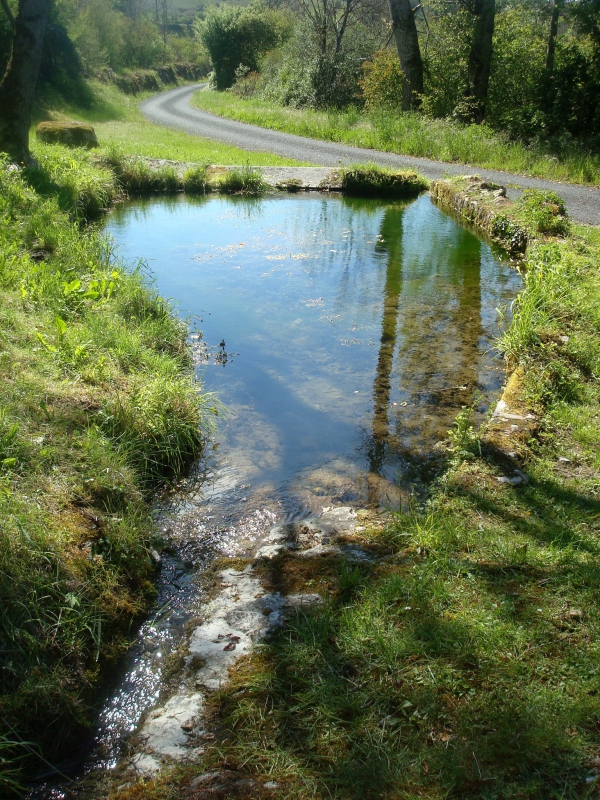 La source aux grenouilles