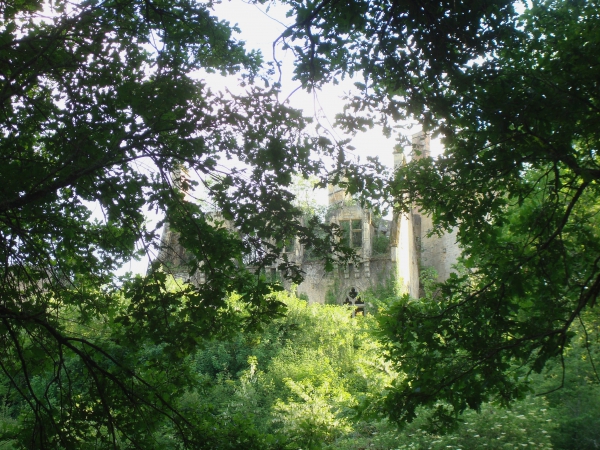 Le château du Paluel - Saint-Vincent-le-Paluel