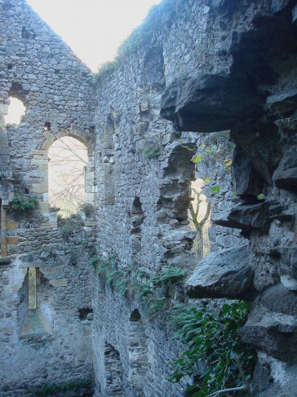 Peyrusse le Roc - Les ruines de l'Hôpital médiéval dit des Anglais