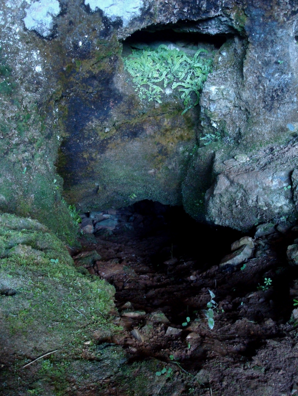 Entrée souterraine sous abri - Causse de Théminettes
