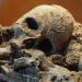 Meurent les hommes, demeurent les os... (Musée Fenaille, Rodez)